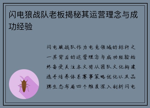 闪电狼战队老板揭秘其运营理念与成功经验